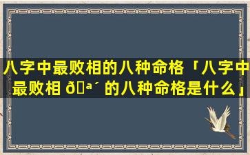 八字中最败相的八种命格「八字中最败相 🪴 的八种命格是什么」